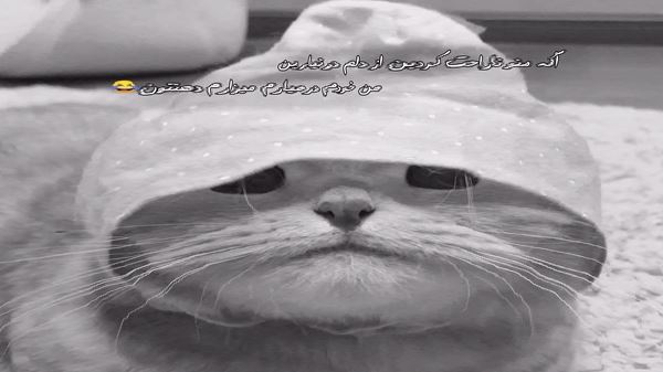 دوست دارم دیوونه وار حتی توی سردترین روزگار صدای زن
